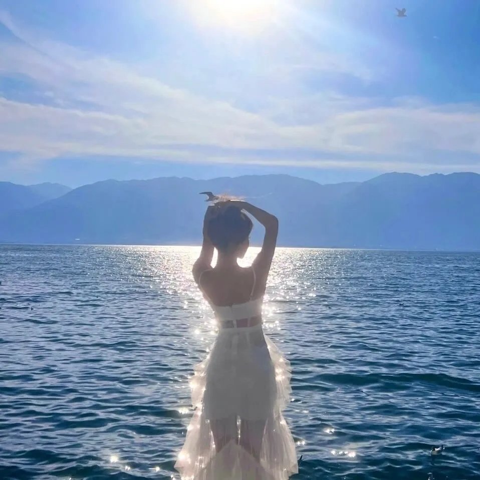 完美姐妹
